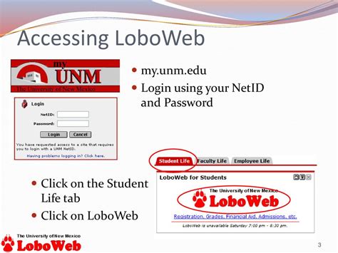my lobo web.